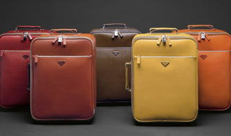 玛莉娜皮具加盟优势 结合电子产品销售的创新商业模式