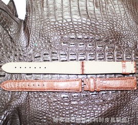 崇文高档鳄鱼皮表带与佳利时皮具批发零售 品质与创新的融合